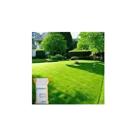 AKADEMİ 6A HYBRİD 10KG ÇİM TOHUMU (KG FİYATIDIR)